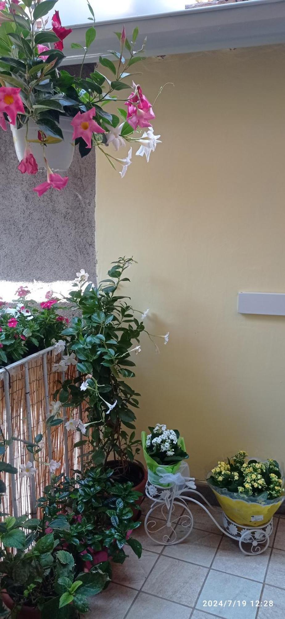 Residenza Del Sepale Apartment Viterbo Bagian luar foto