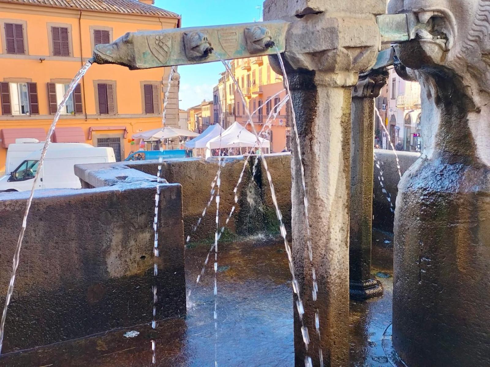 Residenza Del Sepale Apartment Viterbo Bagian luar foto